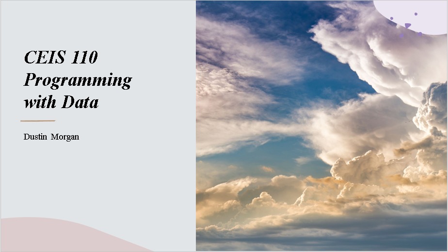 DeVry CEIS 110 Project