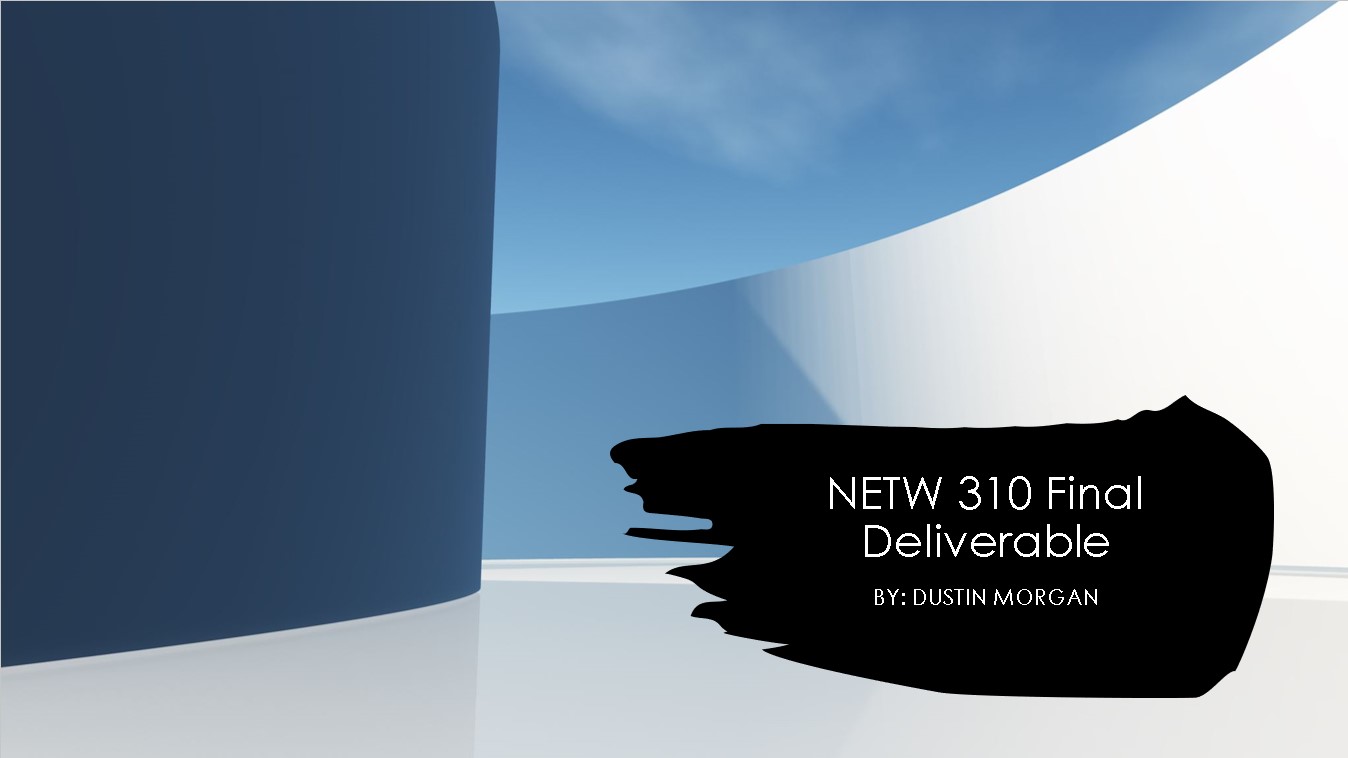 DeVry NETW 310 Project